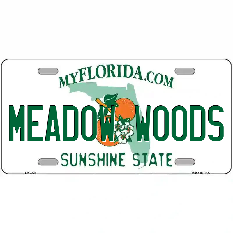 Meadow Woods Florida Metal Sign