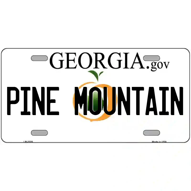 Pine Mountain Georgia Metal Sign