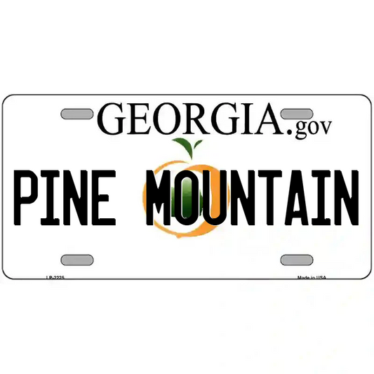 Pine Mountain Georgia Metal Sign