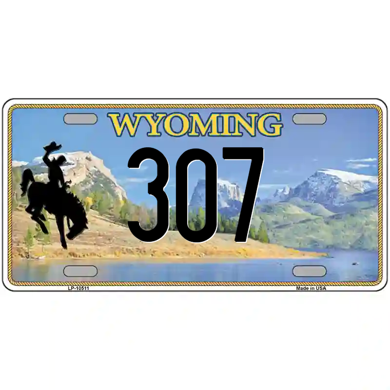 307 Wyoming Metal Sign