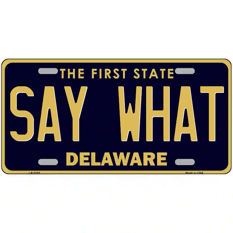 Say What Delaware Metal Sign