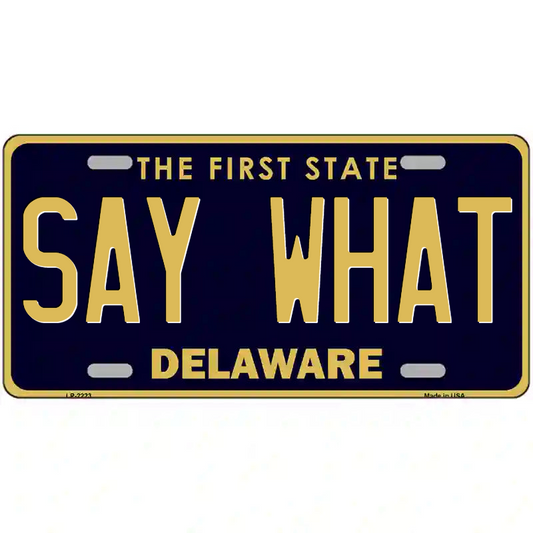 Say What Delaware Metal Sign