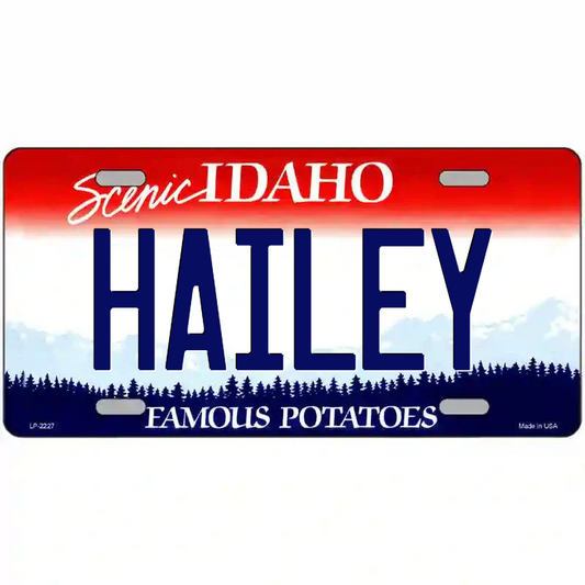 Hailey Idaho Metal Sign