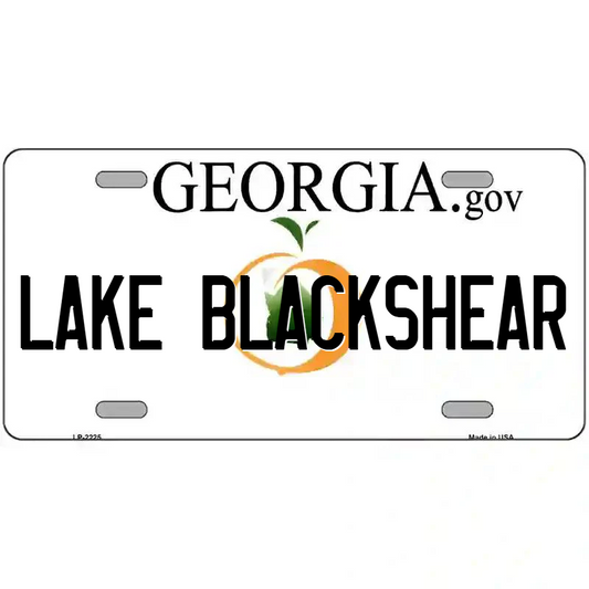 Lake Blackshear Georgia Metal Sign