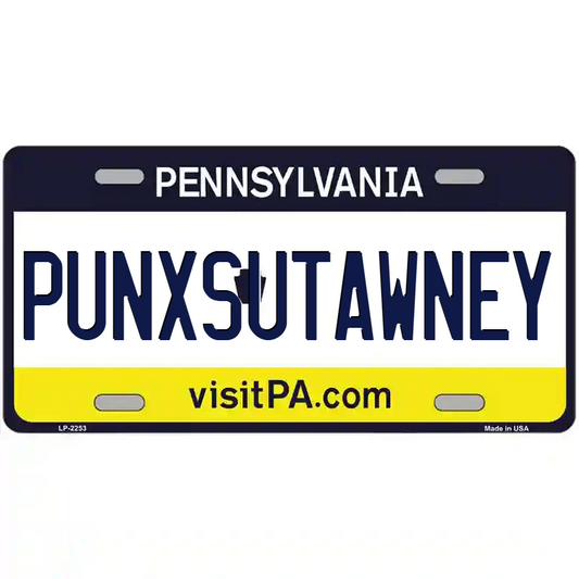 Punxsutawney Pennsylvania Metal Sign