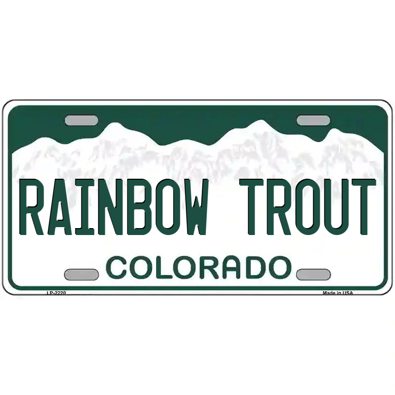 Rainbow Trout Colorado Metal Sign