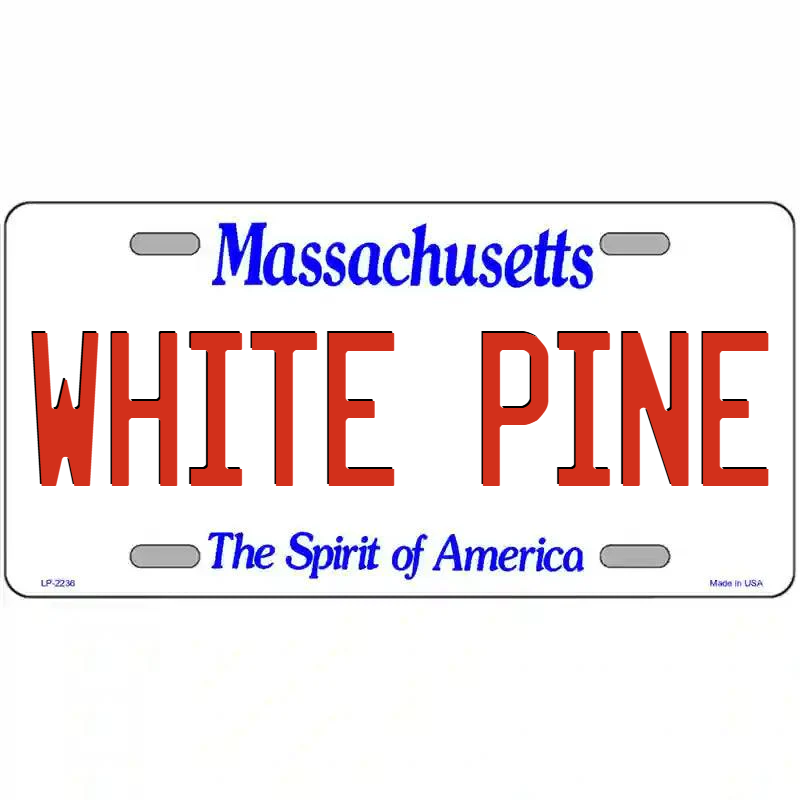White Pine Massachusetts Metal Sign