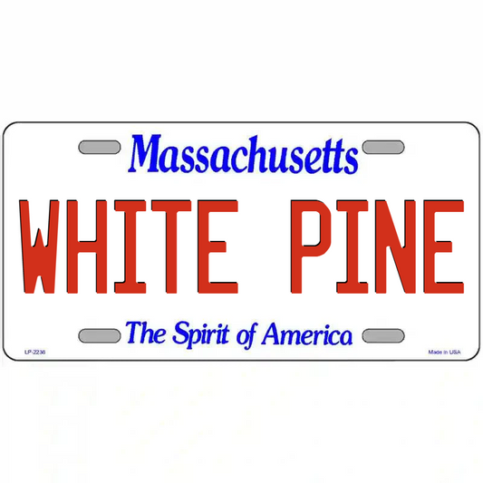 White Pine Massachusetts Metal Sign