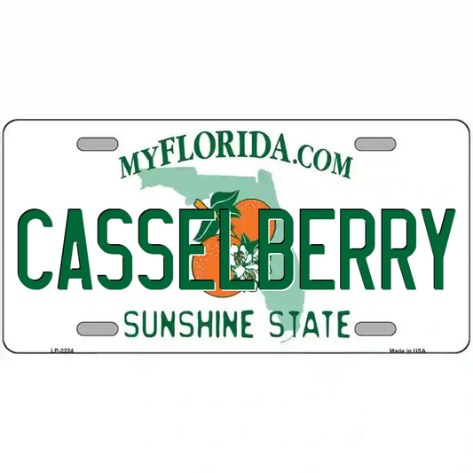 Casselberry Florida Metal Sign