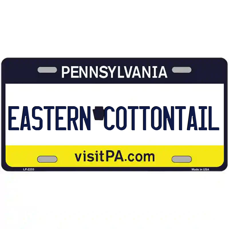 Eastern Cottontail Pennsylvania Metal Sign