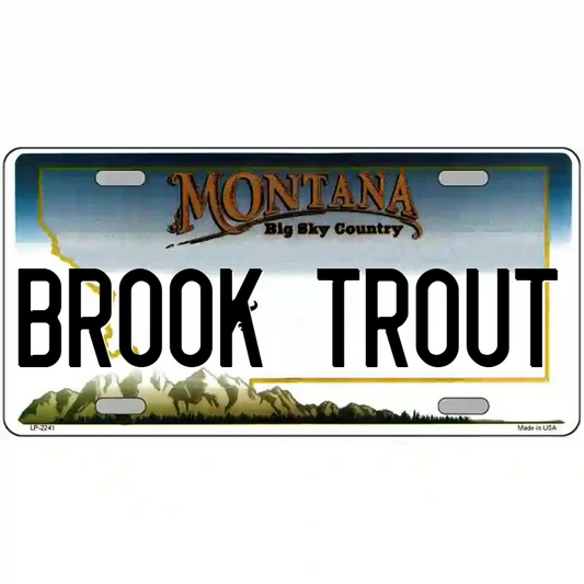 Brook Trout Montana Metal Sign