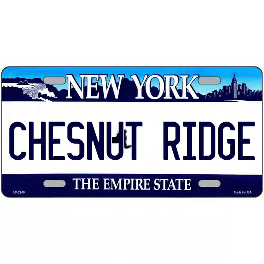 Chesnut Ridge New York Blue Metal Sign