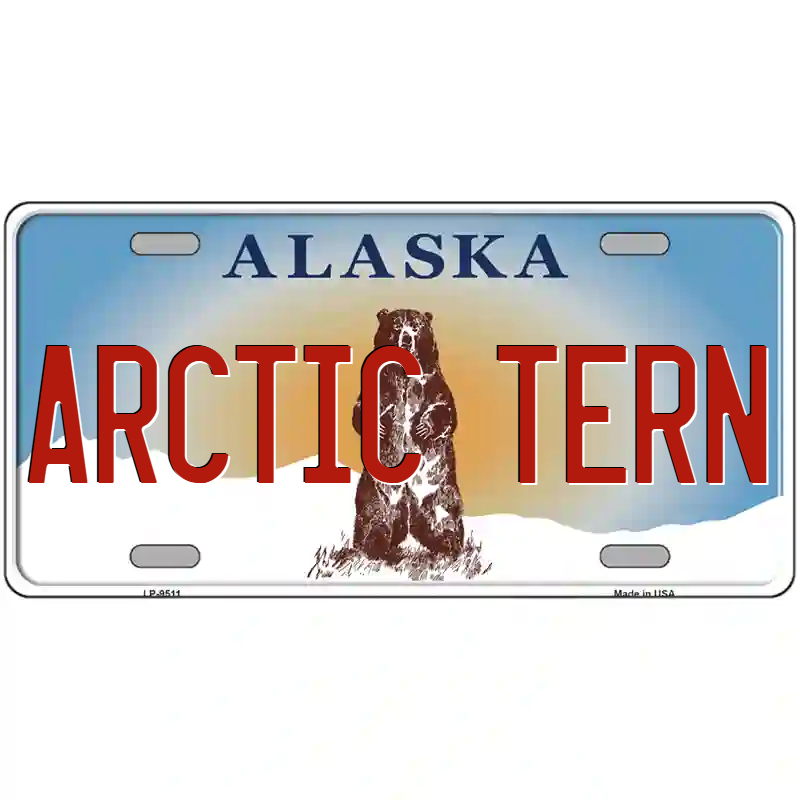 Arctic Tern Alaska Metal Sign