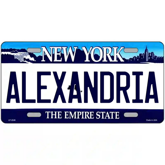 Alexandria New York Blue Metal Sign