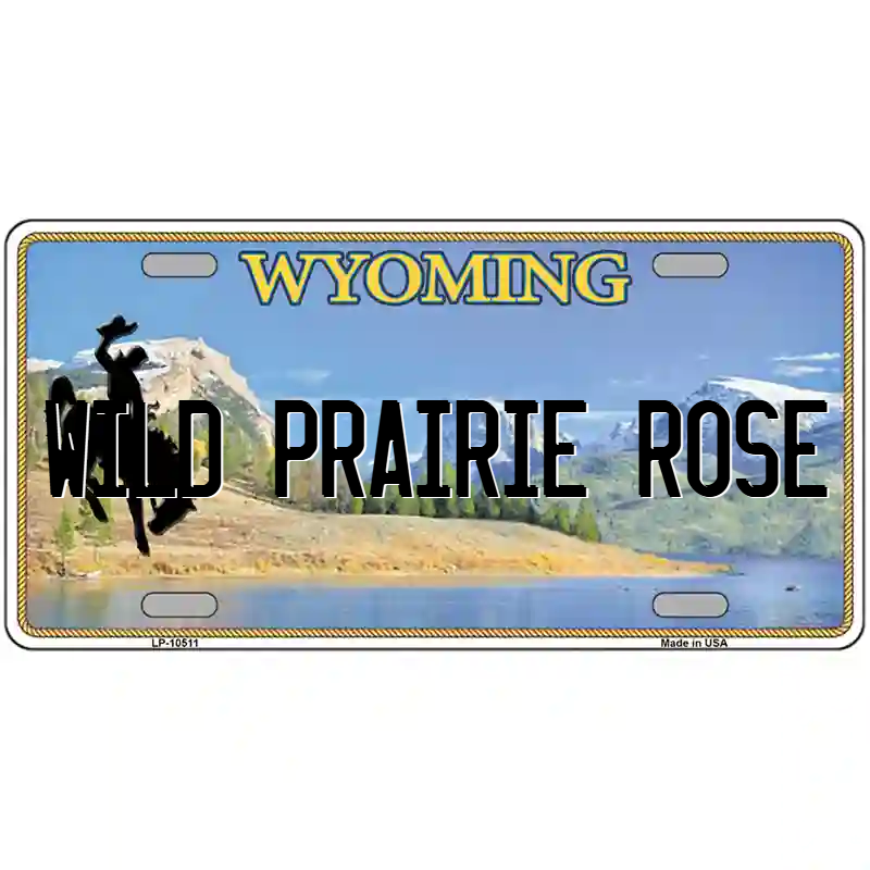 Wild Prairie Rose Wyoming Metal Sign