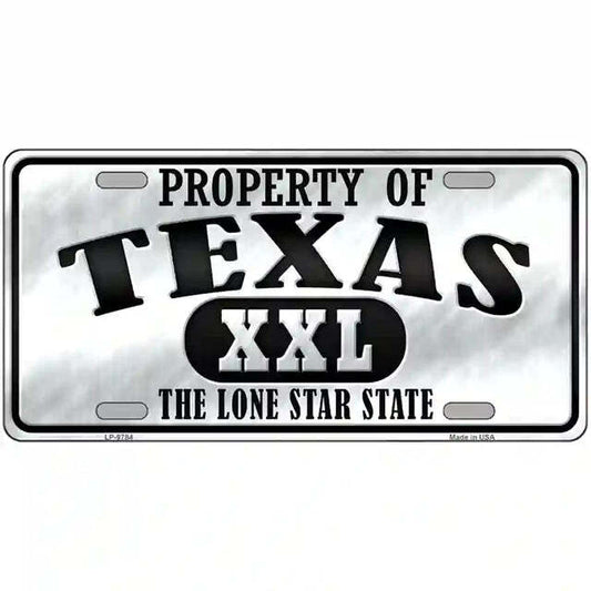 Property of Texas The Lone Star State Metal Sign