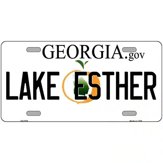 Lake Esther Georgia Metal Sign