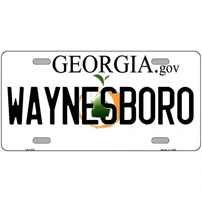 Waynesboro Georgia Metal Sign