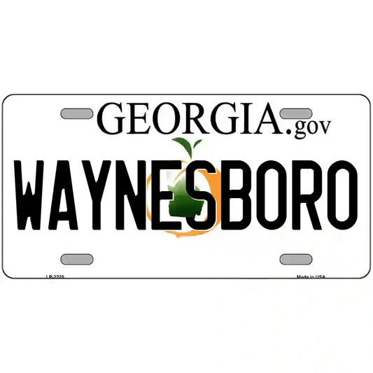 Waynesboro Georgia Metal Sign