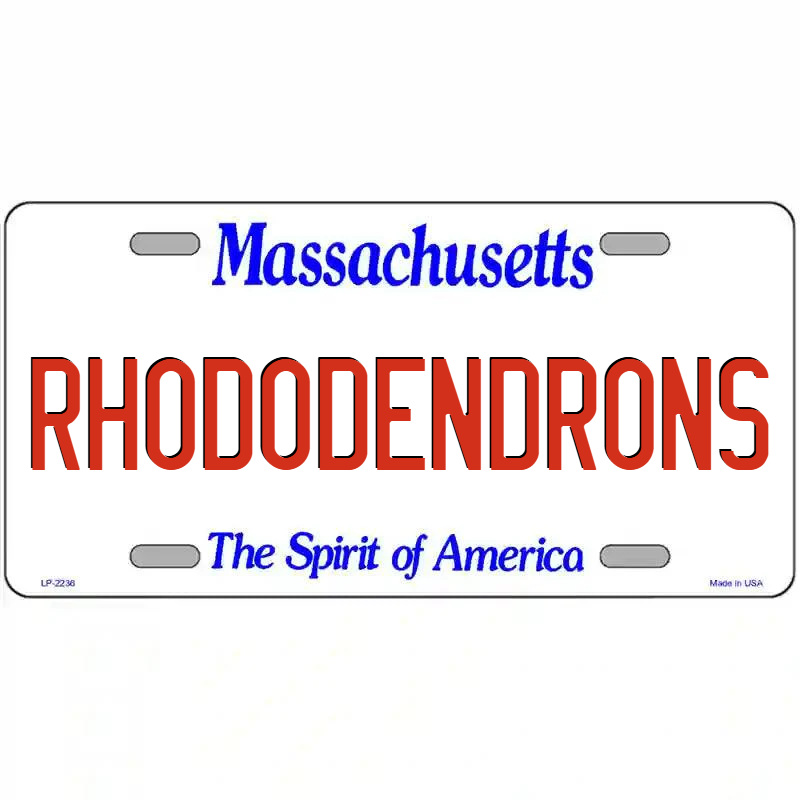 Rhododendrons Massachusetts Metal Sign