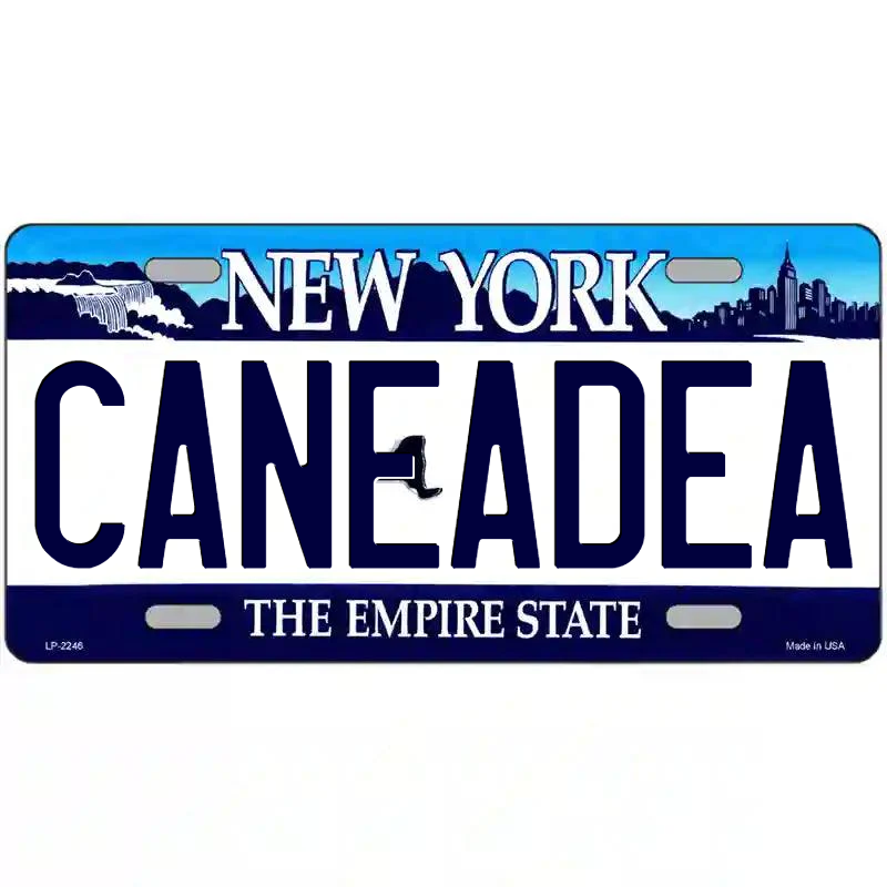 Caneanea  New York Blue Metal Sign