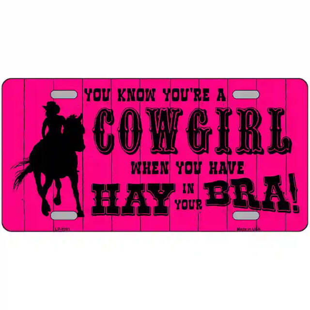 You Know You're a Cowgirl When You Have Hay in Your Bra Metal Sign