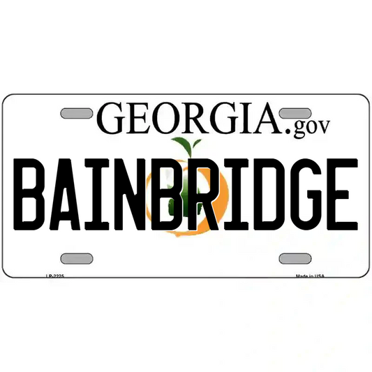 Brainridge Georgia Metal Sign