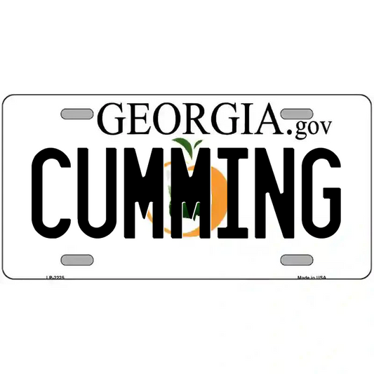 Cumming Georgia Metal Sign