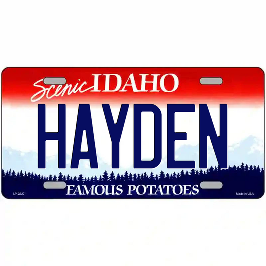 Hayden Pennsylvania Metal Sign