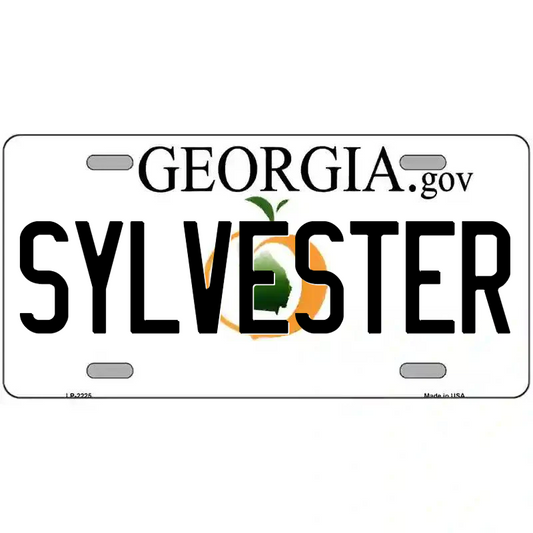 Sylvester Georgia Metal Sign