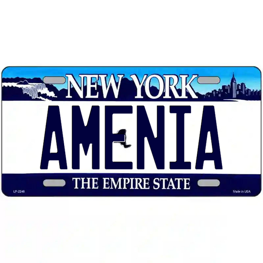 Amenia New York Blue Metal Sign