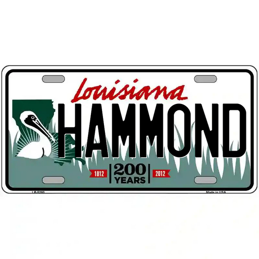 Hammond Louisiana Metal Sign