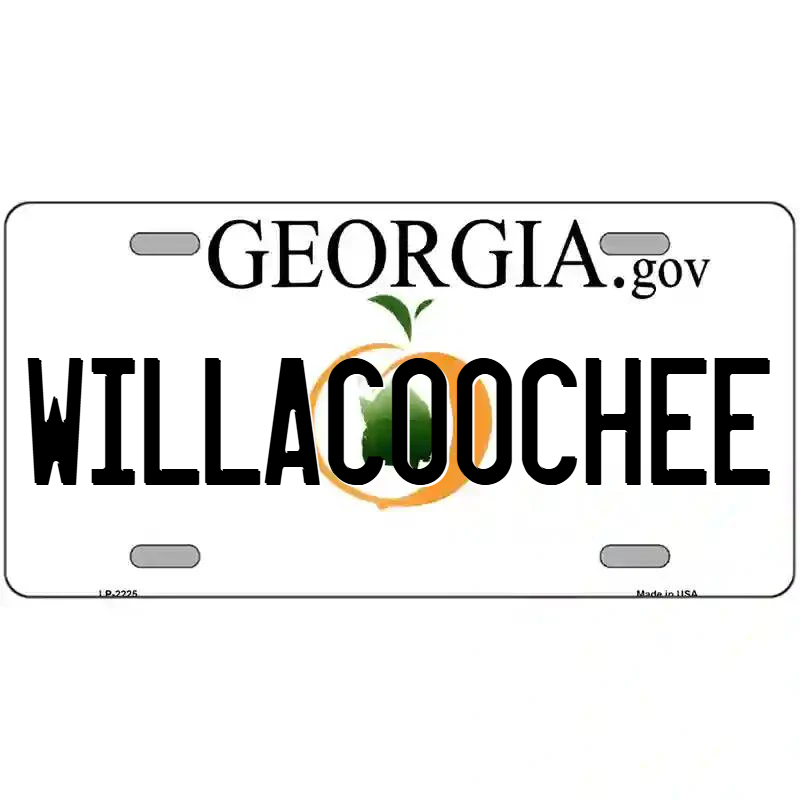 Willacoochee Georgia Metal Sign