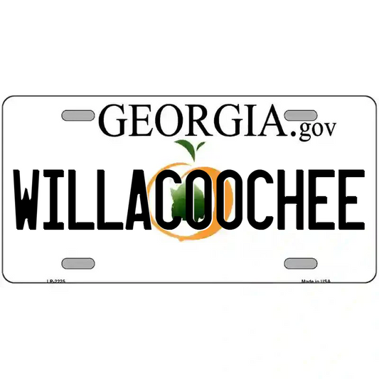 Willacoochee Georgia Metal Sign