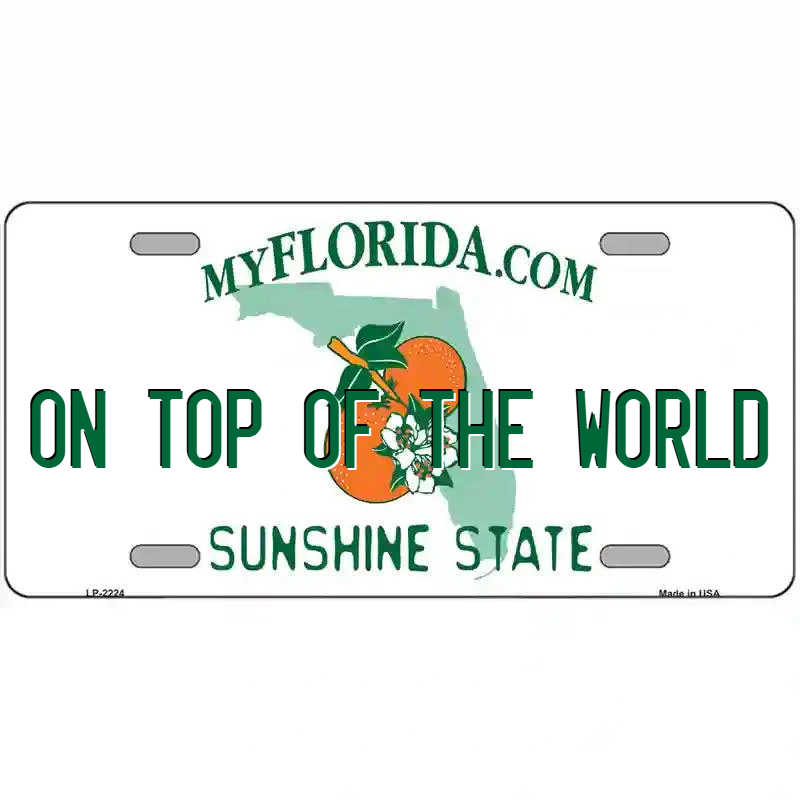 On Top of the World Florida Metal Sign