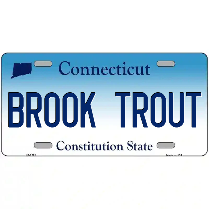 Brook Trout Connecticut Metal Sign