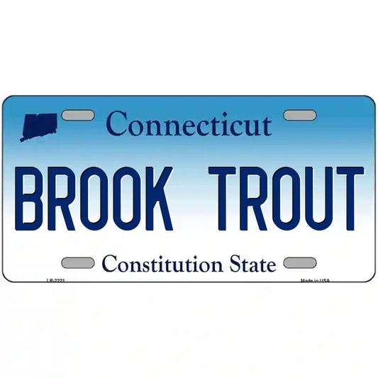 Brook Trout Connecticut Metal Sign