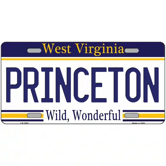 Princeton West Virginia Metal Sign