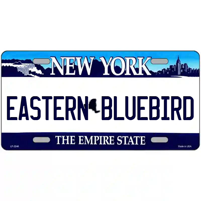 Eastern Bluebird New York Blue Metal Sign
