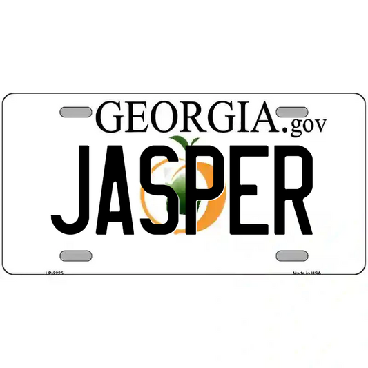Jasper Georgia Metal Sign