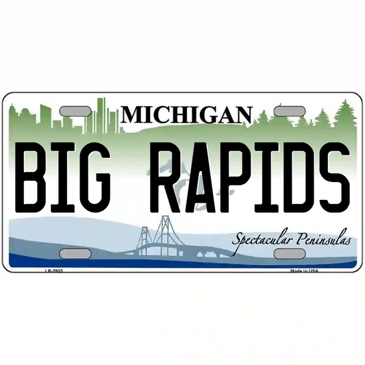 Big Rapids Michigan Metal Sign