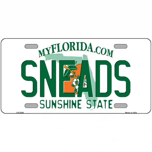 Sneads Florida Metal Sign