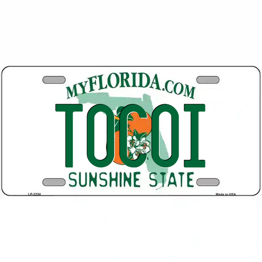 Tocoi Florida Metal Sign