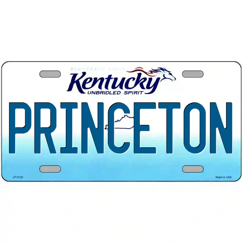 Princeton Kentucky Metal Sign