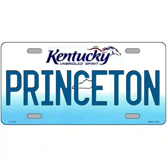 Princeton Kentucky Metal Sign