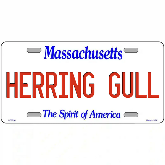 Herring Gull Massachusetts Metal Sign