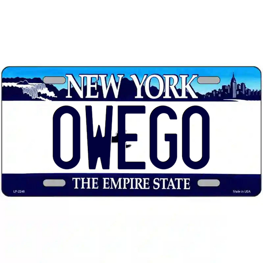 Owego New York Blue Metal Sign