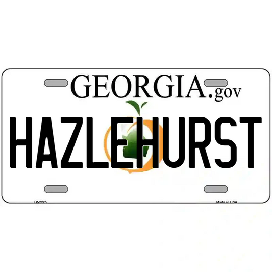 Hazlehurst Georgia Metal Sign