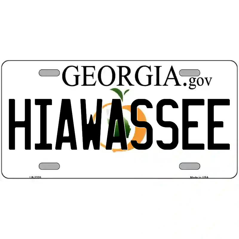 Hiawassee Georgia Metal Sign