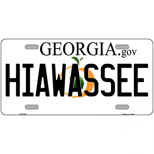 Hiawassee Georgia Metal Sign